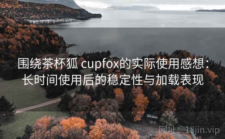 围绕茶杯狐 cupfox的实际使用感想：长时间使用后的稳定性与加载表现