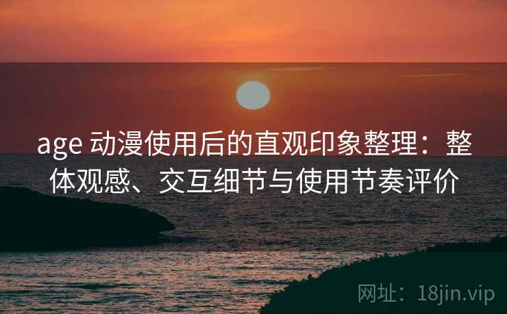 age 动漫使用后的直观印象整理：整体观感、交互细节与使用节奏评价