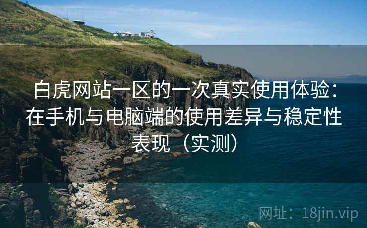白虎网站一区的一次真实使用体验：在手机与电脑端的使用差异与稳定性表现（实测）