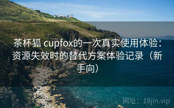 茶杯狐 cupfox的一次真实使用体验：资源失效时的替代方案体验记录（新手向）