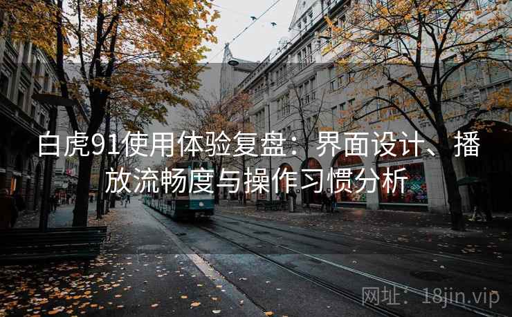 白虎91使用体验复盘：界面设计、播放流畅度与操作习惯分析