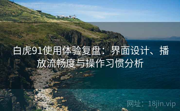 白虎91使用体验复盘：界面设计、播放流畅度与操作习惯分析