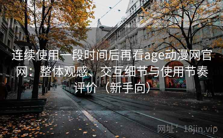 连续使用一段时间后再看age动漫网官网：整体观感、交互细节与使用节奏评价（新手向）