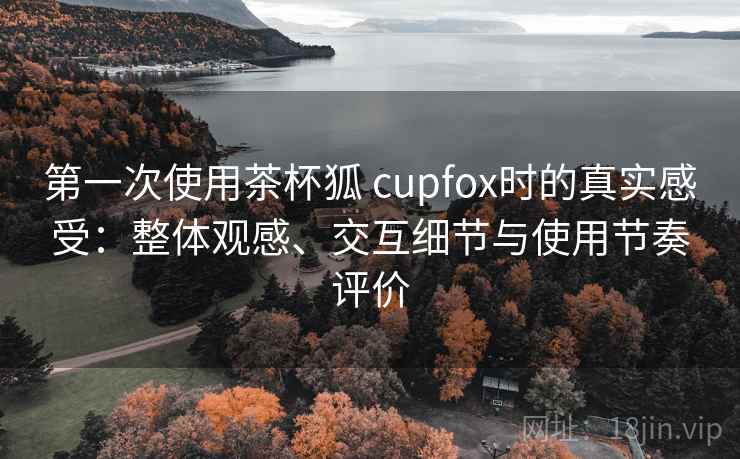 第一次使用茶杯狐 cupfox时的真实感受：整体观感、交互细节与使用节奏评价